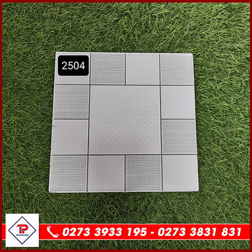 Gạch NT 25x25